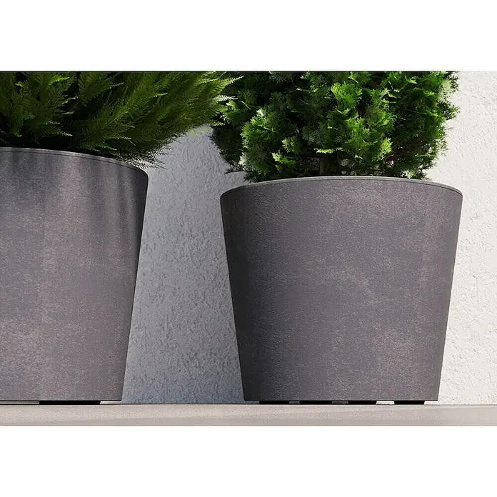 Deroma Millennium Pflanzkübel rund - Außenmaß (Ø x H): 59 x 49 cm, Aus recyceltem Kunststoff, Ashgrey - Graue Pflanzgefäße mit grünen Pflanzen vor einer weißen Wand, ideal für den Innen- oder Außenbereich. Die schlichte Eleganz wertet jeden Raum auf.