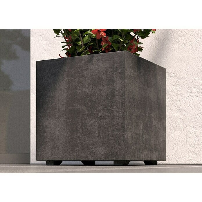 Deroma Millennium Pflanzkasten (Außenmaß (L x B x H): 39 x 39 x 39 cm, Kunststoff, Anthrazit) | BAUHAUS
