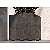 Deroma Millennium Macetero para plantas (Dimensiones externas (L x An x Al): 39 x 39 x 39 cm, Plástico, Antracita) | BAUHAUS
