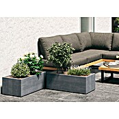 Deroma Millennium Macetero para plantas (Dimensiones externas (L x An x Al): 79 x 39 x 39 cm, Plástico, Ceniza) | BAUHAUS