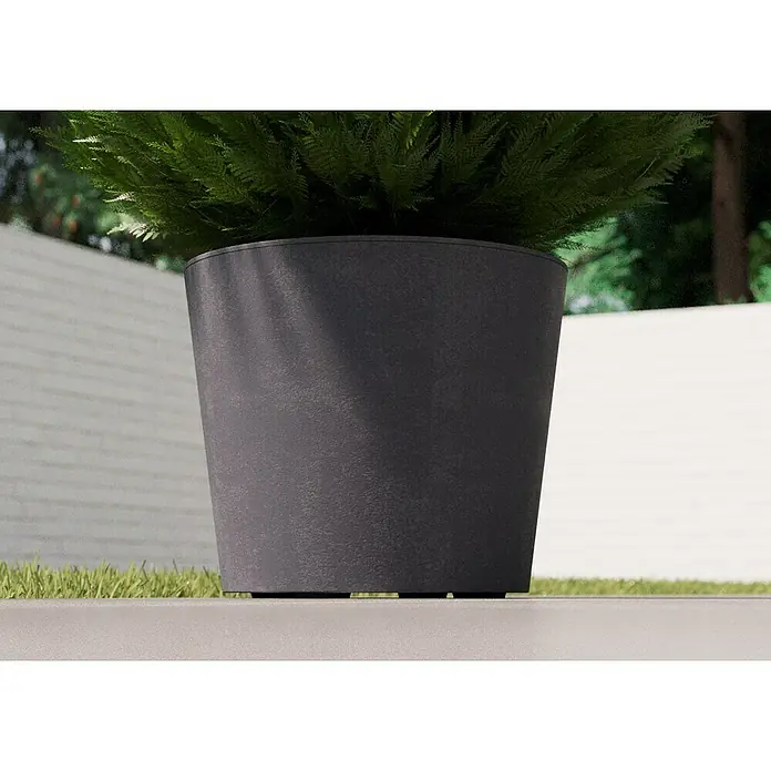 Deroma Millennium Pflanzkübel rund - Außenmaß (Ø x H): 59 x 49 cm, Aus recyceltem Kunststoff, Ashgrey - Nahaufnahme eines grauen Blumentopfes mit einer grünen Pflanze darin, vor einem weißen Hintergrund.