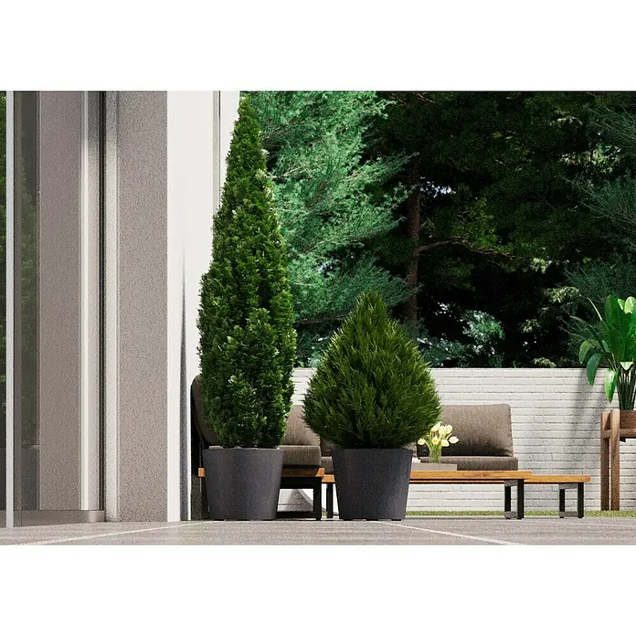 Deroma Millennium Pflanzkübel rund - Außenmaß (Ø x H): 59 x 49 cm, Aus recyceltem Kunststoff, Ashgrey - Zwei formgeschnittene grüne Pflanzen in Töpfen auf einer Terrasse, die eine ruhige und stilvolle Atmosphäre schaffen.