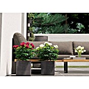 Deroma Millennium Pflanzkasten (Außenmaß (L x B x H): 25 x 25 x 25 cm, Kunststoff, Ashgrey) | BAUHAUS