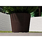 Deroma Pflanzkübel rund Millennium (Außenmaß (Ø x H): 59 x 49 cm, Kunststoff, Brownstone) | BAUHAUS