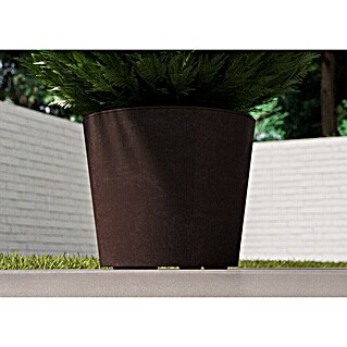 Deroma Pflanzkübel rund Millennium (Außenmaß (Ø x H): 59 x 49 cm, Kunststoff, Brownstone)