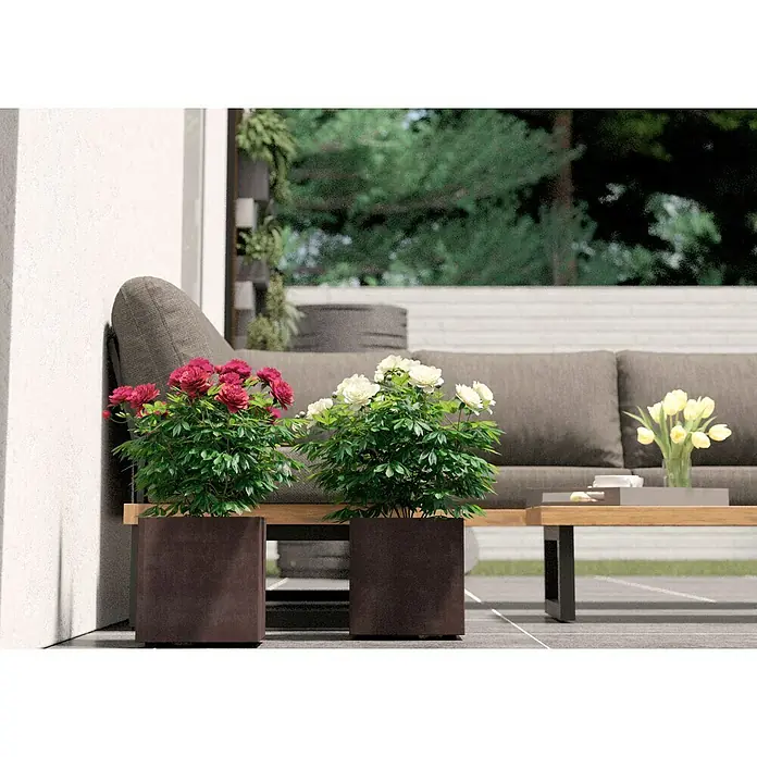 Deroma Millennium Pflanzkübel eckig - L x B x H: 25 x 25 x 25 cm, Kunststoff, Brownstone - Dekorative Pflanzgefäße mit üppigen Blumen in Rot und Weiß, die eine gemütliche Outdoor-Szene auf einer Terrasse ergänzen.