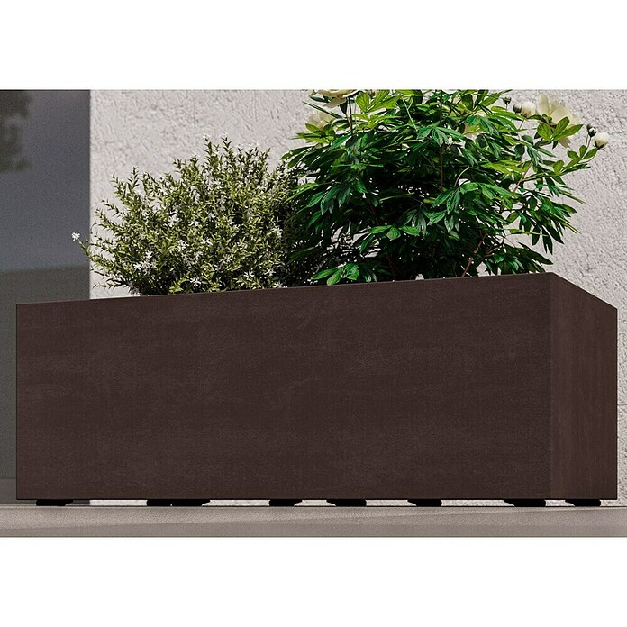 Deroma Millennium Macetero para plantas (Dimensiones externas (L x An x Al): 79 x 39 x 39 cm, Plástico, Antracita) | BAUHAUS