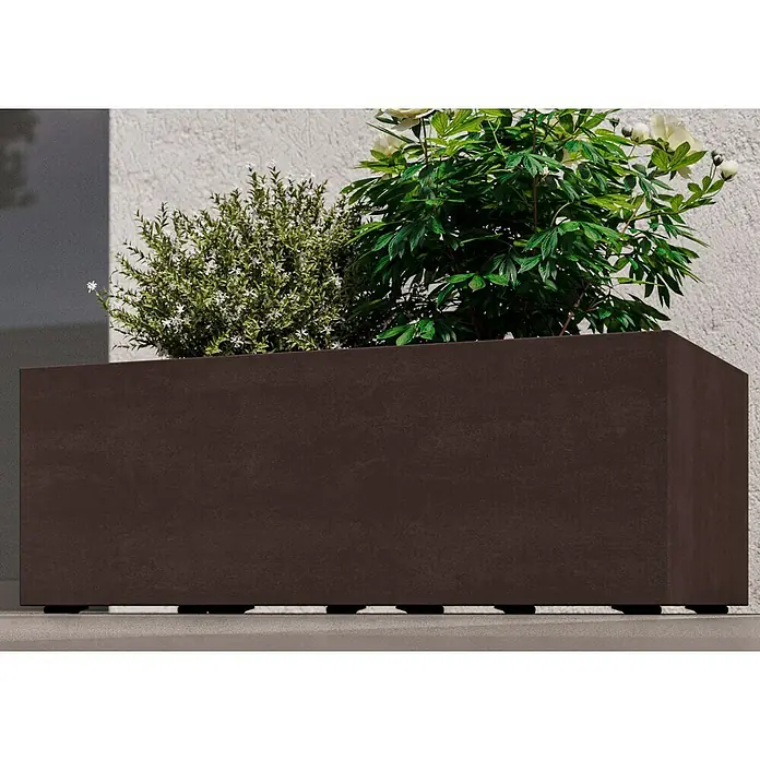 Deroma Millennium Macetero para plantas - Dimensiones externas (L x An x Al): 79 x 39 x 39 cm, Plástico, Antracita - Jardinera de antracita con exuberante vegetación y flores blancas sobre una pared sutil, agregando estilo al diseño del jardín.
