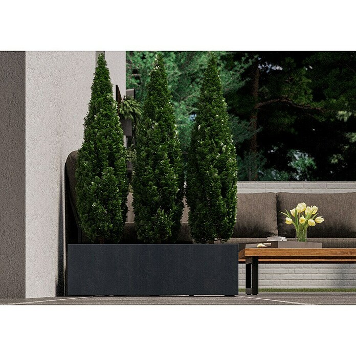 Deroma Millennium Pflanzkasten (Außenmaß (L x B x H): 99 x 37 x 39 cm, Kunststoff, Ashgrey) | BAUHAUS