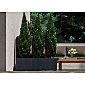 Deroma Millennium Pflanzkasten (Außenmaß (L x B x H): 99 x 37 x 39 cm, Kunststoff, Ashgrey) | BAUHAUS
