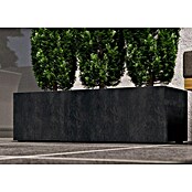 Deroma Millennium Macetero para plantas (Dimensiones externas (L x An x Al): 99 x 37 x 39 cm, Plástico, Antracita) | BAUHAUS