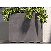 Deroma Millennium Pflanzkasten (Außenmaß (L x B x H): 49 x 49 x 49 cm, Kunststoff, Anthrazit) | BAUHAUS