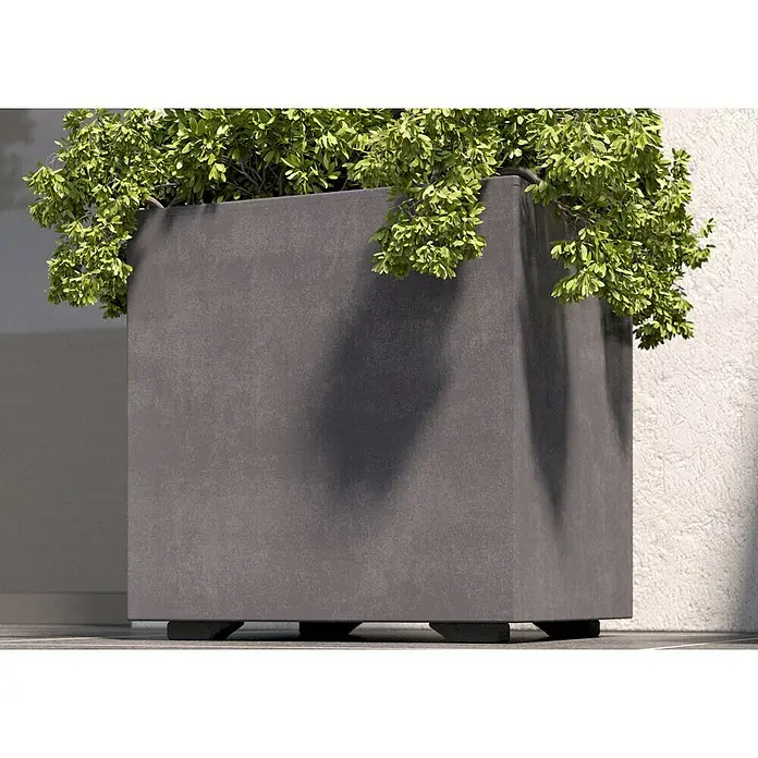 Deroma Millennium Macetero para plantas - Dimensiones externas (L x An x Al): 49 x 49 x 49 cm, Plástico, Antracita - Primer plano de una jardinera cuadrada gris con exuberante vegetación. La robusta jardinera proporciona un marco elegante para las plantas.