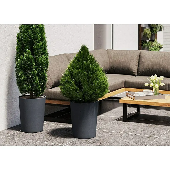 Deroma Millennium Pflanzkübel rund - Außenmaß (Ø x H): 43,5 x 53,5 cm, Aus recyceltem Kunststoff, Ashgrey - Zwei immergrüne Pflanzen in grauen Töpfen verschönern eine moderne Terrasse mit Sitzbereich und Couchtisch. Die Pflanzen bringen einen Hauch von Natur in den Außenbereich.