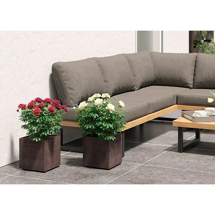Deroma Millennium Pflanzkübel eckig - L x B x H: 25 x 25 x 25 cm, Kunststoff, Brownstone - Zwei quadratische Pflanzgefäße mit üppigen Blumen stehen vor einem grauen Ecksofa im Freien und verleihen dem Arrangement einen Farbtupfer.