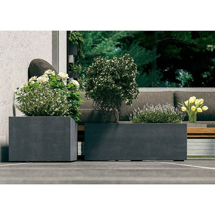 Deroma Millennium Macetero para plantas (Dimensiones externas (L x An x Al): 79 x 39 x 39 cm, Plástico, Ceniza) | BAUHAUS
