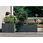 Deroma Millennium Macetero para plantas (Dimensiones externas (L x An x Al): 79 x 39 x 39 cm, Plástico, Ceniza) | BAUHAUS
