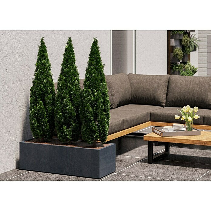 Deroma Millennium Pflanzkasten (Außenmaß (L x B x H): 99 x 37 x 39 cm, Kunststoff, Ashgrey) | BAUHAUS