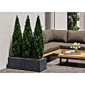Deroma Millennium Pflanzkasten (Außenmaß (L x B x H): 99 x 37 x 39 cm, Kunststoff, Ashgrey) | BAUHAUS