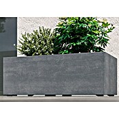 Deroma Millennium Macetero para plantas (Dimensiones externas (L x An x Al): 79 x 39 x 39 cm, Plástico, Ceniza) | BAUHAUS