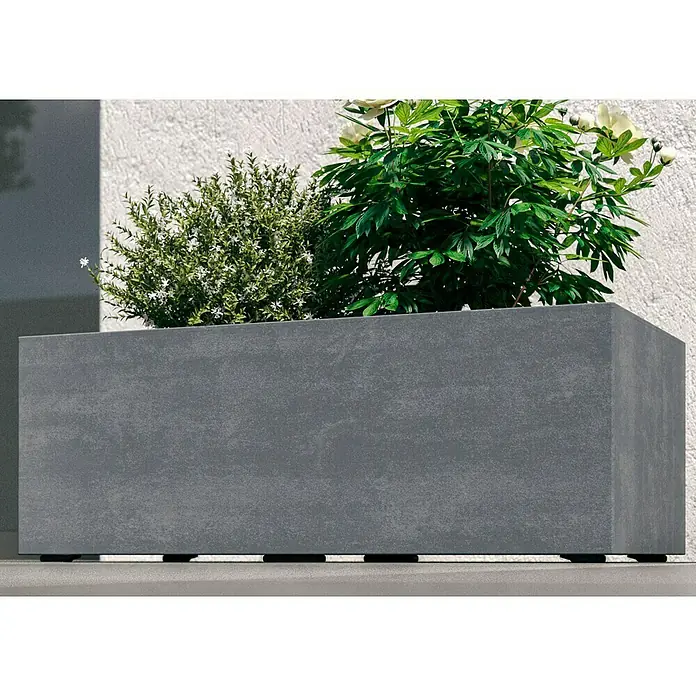 Deroma Millennium Pflanzkasten - Außenmaß (L x B x H): 79 x 39 x 39 cm, Kunststoff, Ashgrey - Grauer rechteckiger Pflanzkasten mit grünen Pflanzen.