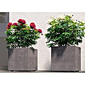 Deroma Millennium Pflanzkasten (Außenmaß (L x B x H): 25 x 25 x 25 cm, Kunststoff, Ashgrey) | BAUHAUS