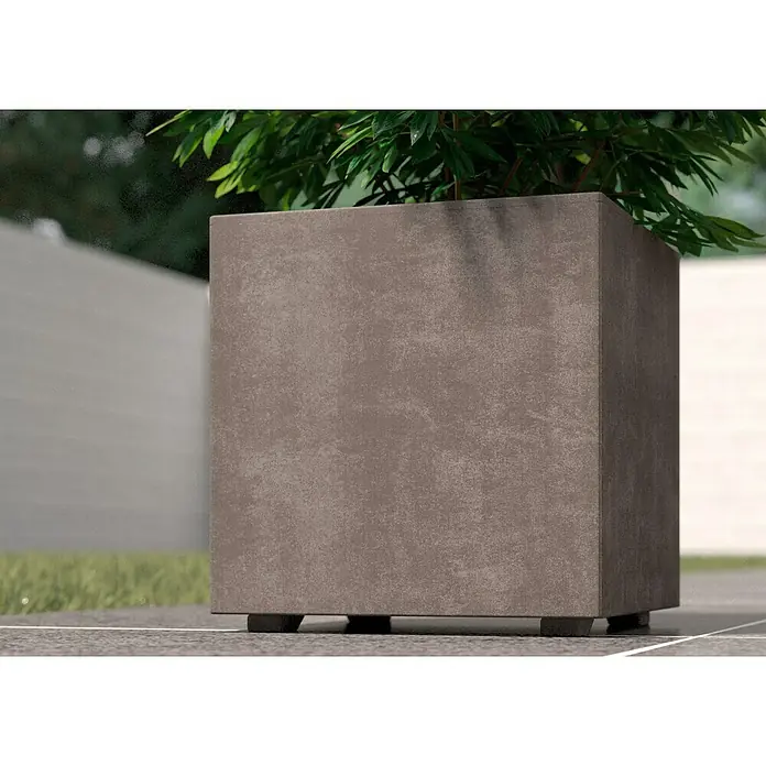 Deroma Millennium Pflanzkübel eckig - L x B x H: 25 x 25 x 25 cm, Kunststoff, Sand - Nahaufnahme eines quadratischen Pflanzgefäßes mit einer Grünpflanze, das auf einem grauen Untergrund steht.