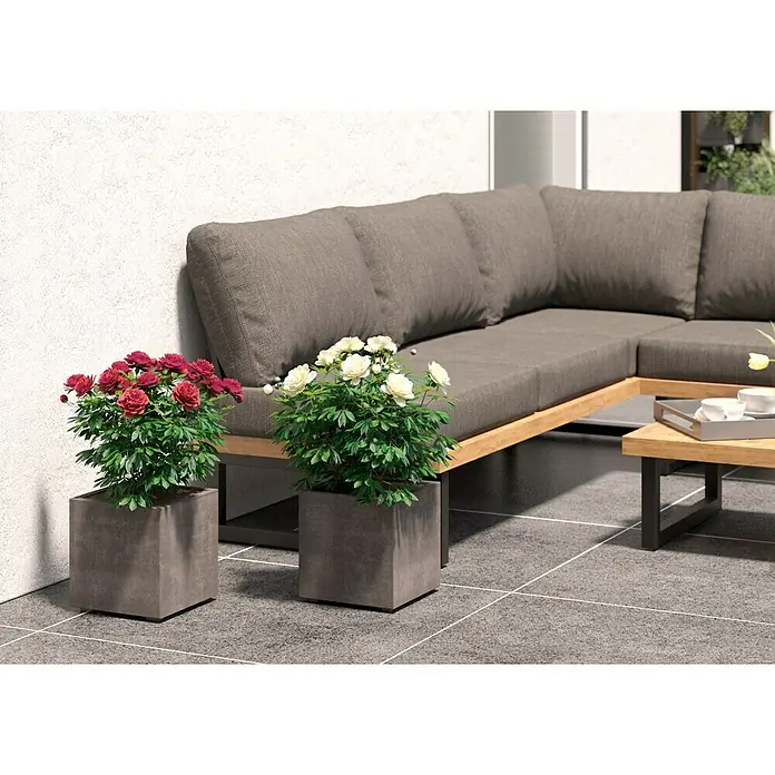 Deroma Millennium Pflanzkübel eckig - L x B x H: 25 x 25 x 25 cm, Kunststoff, Sand - Zwei quadratische Pflanzkübel mit roten und weißen Blumen stehen vor einem grauen Sofa auf einer Terrasse.