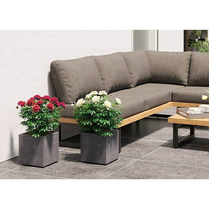 Deroma Millennium Pflanzkasten (Außenmaß (L x B x H): 25 x 25 x 25 cm, Kunststoff, Ashgrey) | BAUHAUS