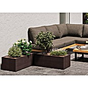 Deroma Millennium Macetero para plantas (Dimensiones externas (L x An x Al): 79 x 39 x 39 cm, Plástico, Antracita) | BAUHAUS