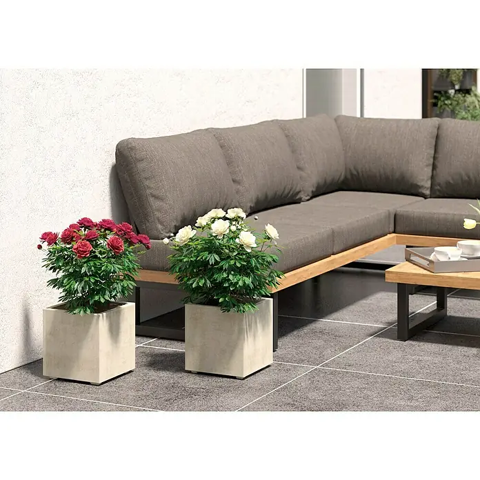 Deroma Millennium Pflanzkübel eckig - L x B x H: 25 x 25 x 25 cm, Kunststoff, Perlweiß - Elegante Outdoor-Szene mit stilvoller Lounge-Ecke, akzentuiert durch zwei quadratische Pflanzgefäße, eines mit roten, das andere mit weißen Blüten.