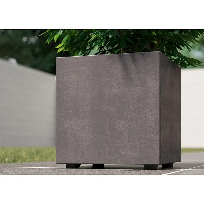 Deroma Millennium Pflanzkasten - Außenmaß (L x B x H): 25 x 25 x 25 cm, Kunststoff, Ashgrey - Ein quadratischer, anthrazitfarbener Pflanzkübel mit grünen Pflanzen steht auf einem gefliesten Untergrund im Freien. Er bietet ein modernes Erscheinungsbild.