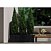 Deroma Millennium Macetero para plantas (Dimensiones externas (L x An x Al): 99 x 37 x 39 cm, Plástico, Antracita) | BAUHAUS