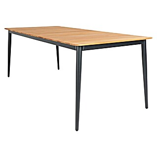 Sunfun Mesa de jardín Greta (L x An x Al: 200 x 100 x 75 cm, Acero/Teca, Antracita/Natural)