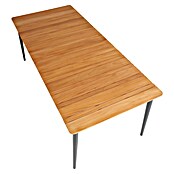 Sunfun Mesa de jardín Greta (L x An x Al: 200 x 100 x 75 cm, Acero/Teca, Antracita/Natural) | BAUHAUS