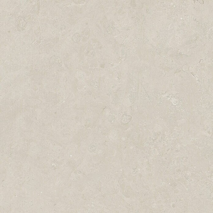 Halcón Pavimento porcelánico Geo (60,5 x 60,5 cm, Avorio, Mate, Espesor: 9,5 mm) | BAUHAUS