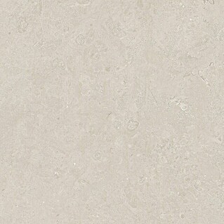 Halcón Pavimento porcelánico Geo (60,5 x 60,5 cm, Avorio, Mate, Espesor: 9,5 mm)