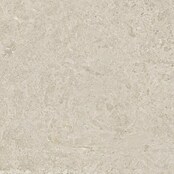 Halcón Pavimento porcelánico Geo (60,5 x 60,5 cm, Greige, Mate, Espesor: 9,5 mm) | BAUHAUS