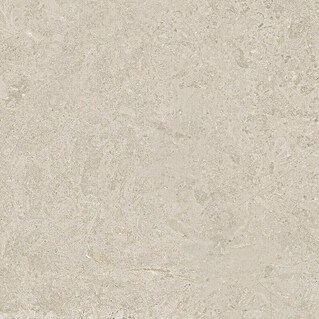 Halcón Pavimento porcelánico Geo (60,5 x 60,5 cm, Greige, Mate, Espesor: 9,5 mm)