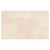 Revestimiento de pared Cantera (33 x 55 cm, Arena, Mate) | BAUHAUS