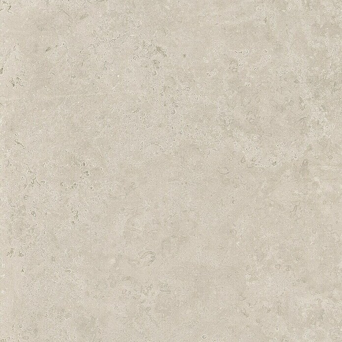 Halcón Pavimento porcelánico Geo (45 x 45 cm, Greige, Mate, Espesor: 8,5 cm, 8 ud.) | BAUHAUS
