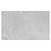 Revestimiento de pared Tempo (33 x 55 cm, Pearl, Mate) | BAUHAUS