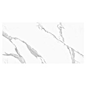 Pavimento porcelánico Atrio (60 x 120 cm, Blanco, Mate, Rectificado) | BAUHAUS