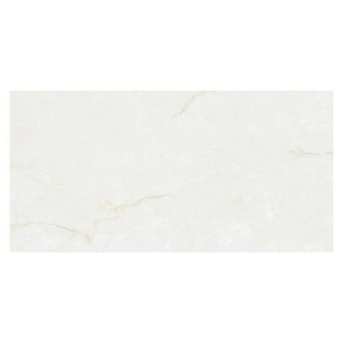 Halcón Pavimento porcelánico Sublime (60 x 120 cm, Blanco, Brillante, Espesor: 9,5 mm) | BAUHAUS