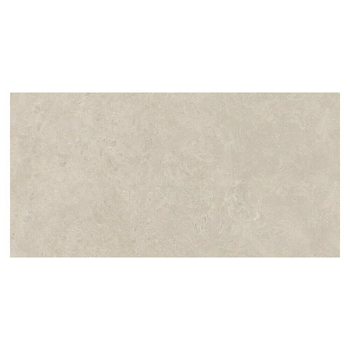 Halcón Pavimento porcelánico Geo Aged (60 x 120 cm, Greige, Mate, Rectificado) | BAUHAUS