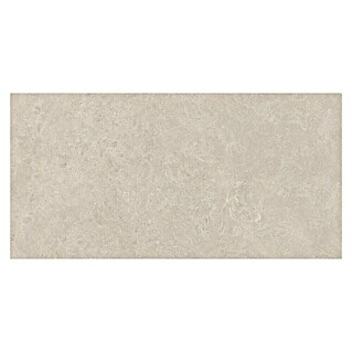Halcón Pavimento porcelánico Geo Aged (60 x 120 cm, Greige, Mate, Rectificado)