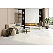 Halcón Pavimento porcelánico Sublime (60 x 120 cm, Blanco, Brillante, Espesor: 9,5 mm) | BAUHAUS