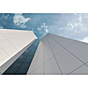 Pavimento porcelánico Fresh (60 x 120 cm, Blanco, Mate, Rectificado) | BAUHAUS