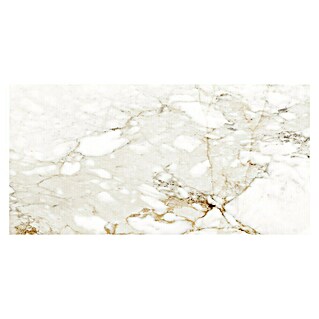 Halcón Pavimento porcelánico Barnaby (60 x 30 cm, Blanco, Brillante)