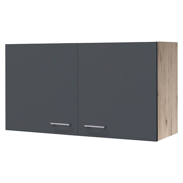 Flex-Well Tiago Hängeschrank (B x T x H: 100 x 32 x 54,8 cm, Basaltgrau matt) | BAUHAUS